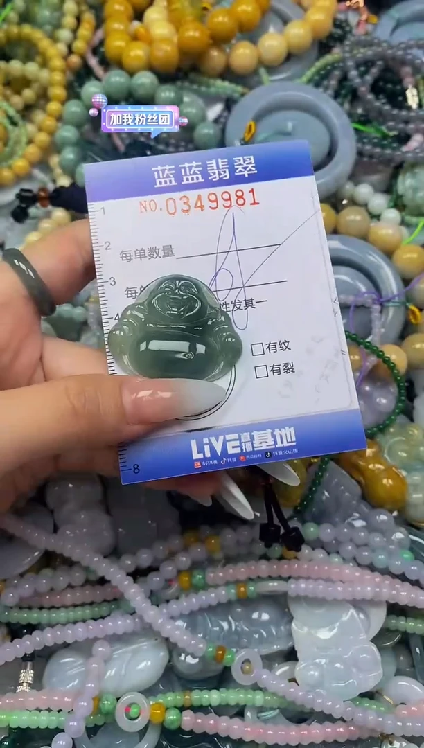 颈饰未镶嵌翡翠闪购0349981