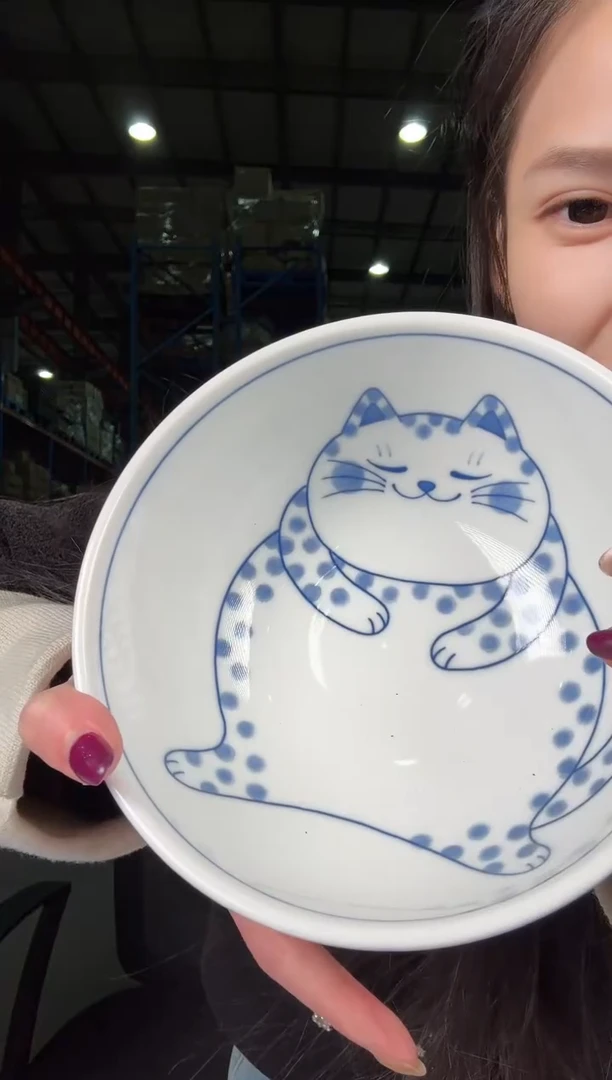 瓷片      NTUUK56