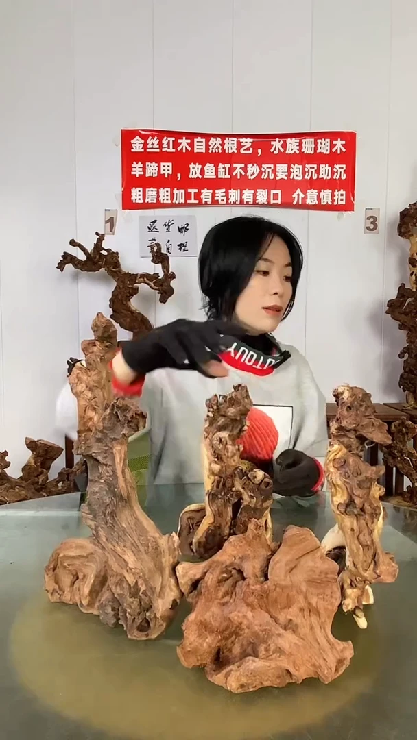 香榧木顺**水金丝红木 羊蹄甲4