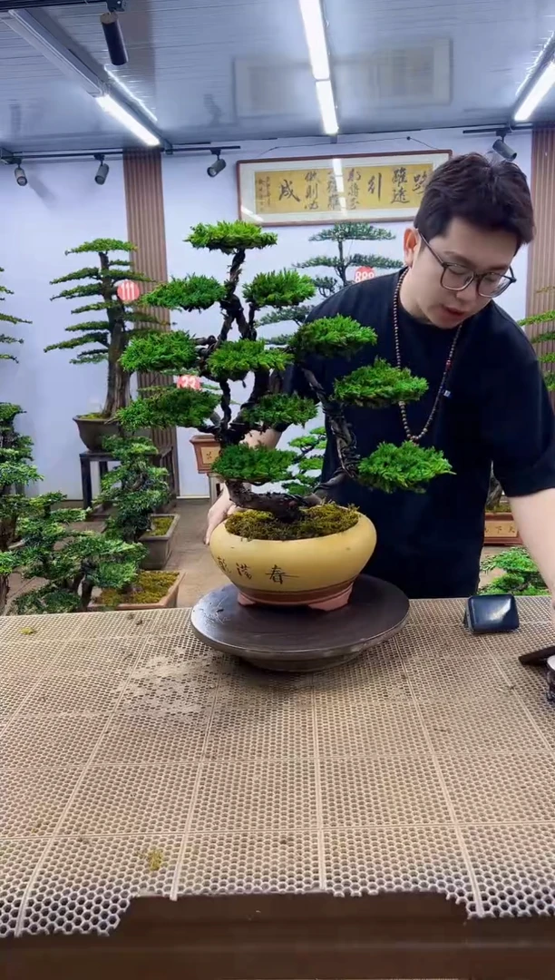 一物一拍，所见即所得