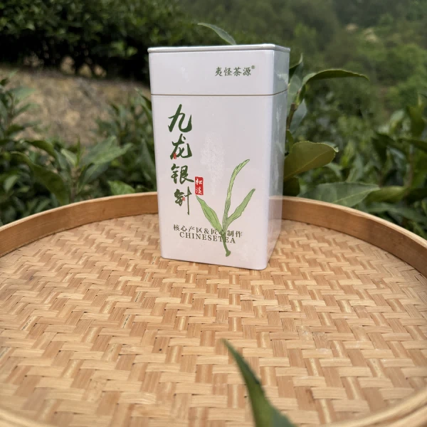 夷怪茶源九龙大白银针（花香）