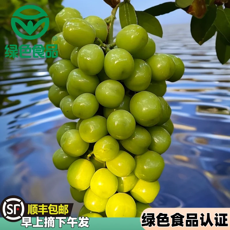 洛琅【小花专属】5斤带箱金沙江边阳光玫瑰葡萄晴王葡萄顺丰包邮