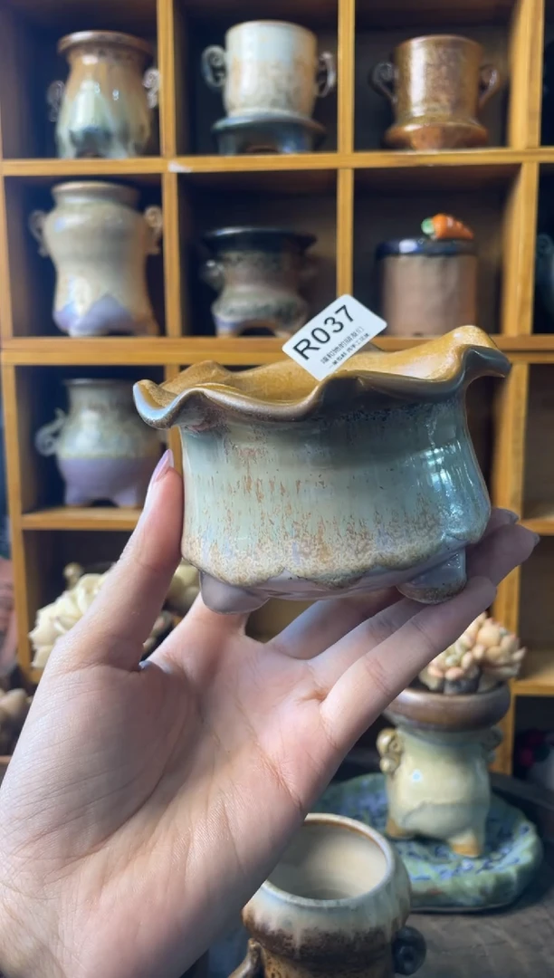 祝*037【多肉花盆多肉盆】