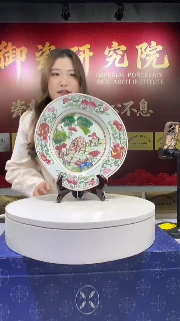 瓶景德镇陶瓷手工手绘P9