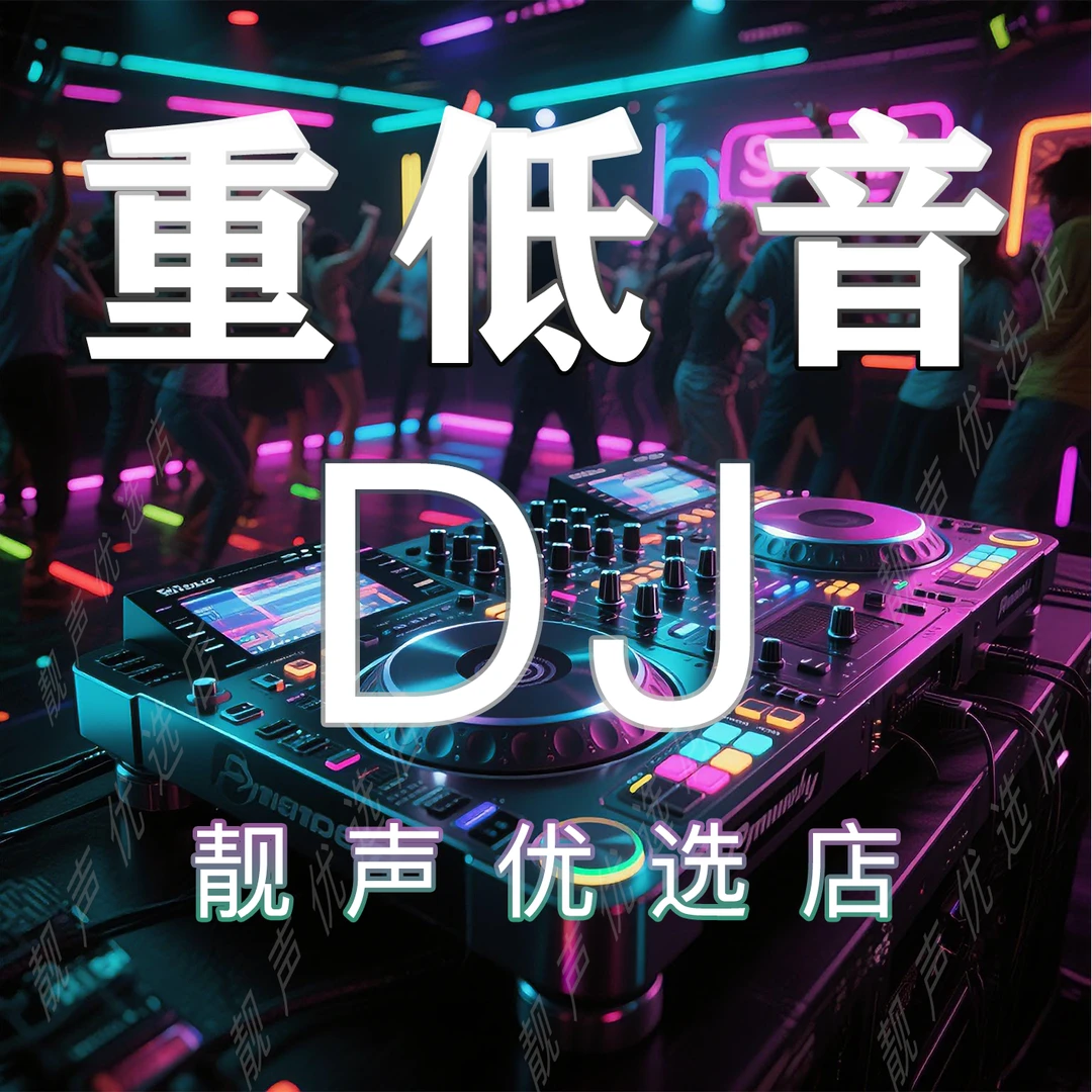 精选重低音DJ首首经典震撼-CD音质【2025新款】