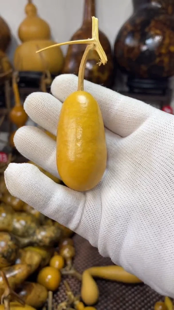 【闪购商品】葫芦葫芦葫芦葫芦