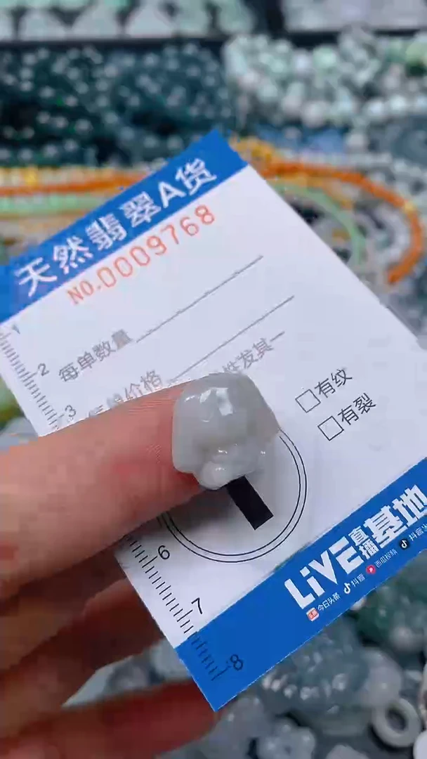 颈饰未镶嵌翡翠0009768