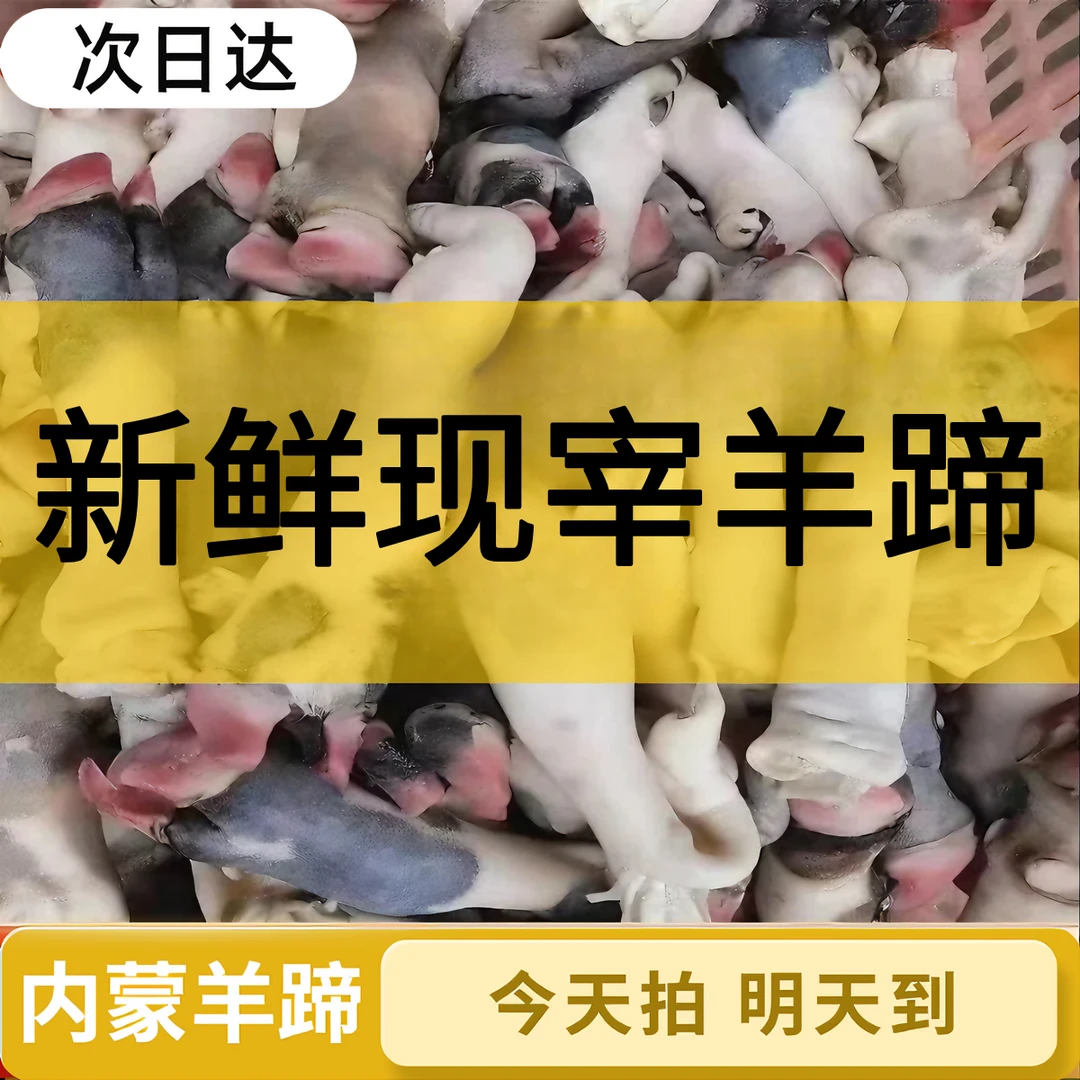 新鲜羊蹄子（带箱9斤）生羊蹄带筋现宰羊脚冷冻羊爪羊脚蹄生羊蹄麻辣羊蹄羊肉新人送3斤