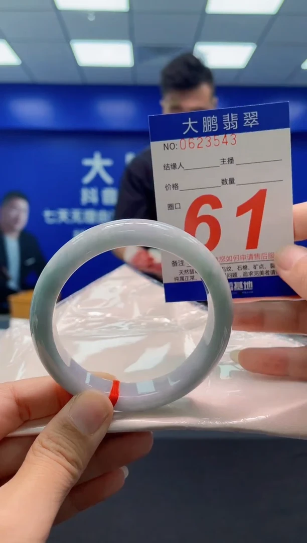 未镶嵌手镯翡翠AAAAAAAAA