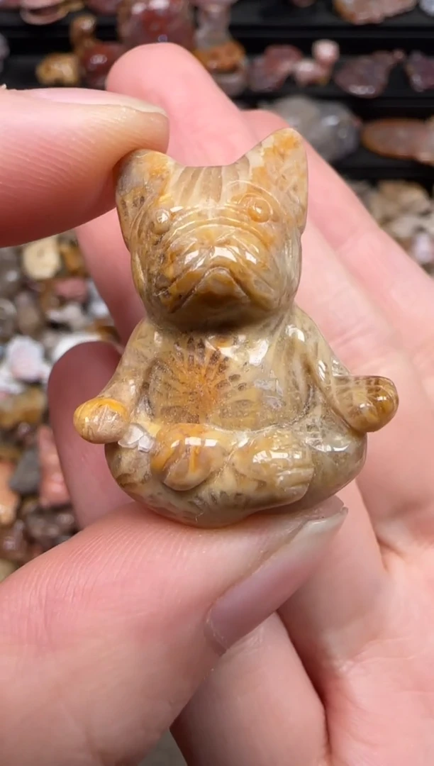 硅化珊瑚（珊瑚玉）未镶嵌颈饰269