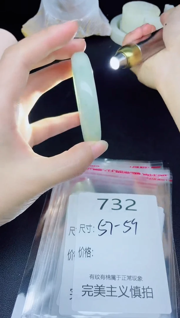 未镶嵌手镯翡翠732