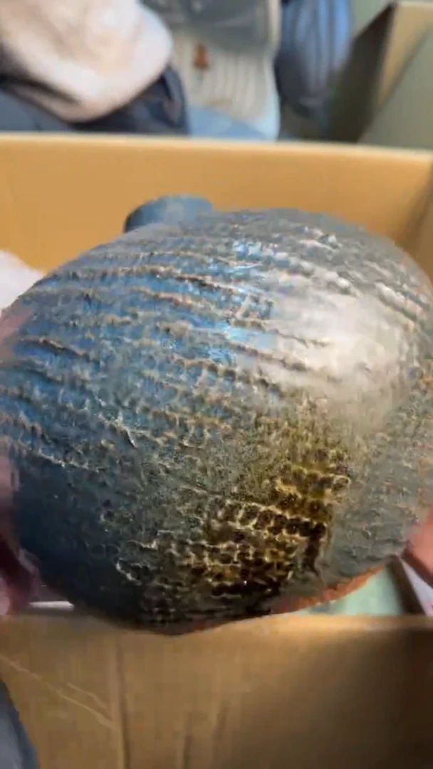 【闪购商品】茶盏8888888888     550