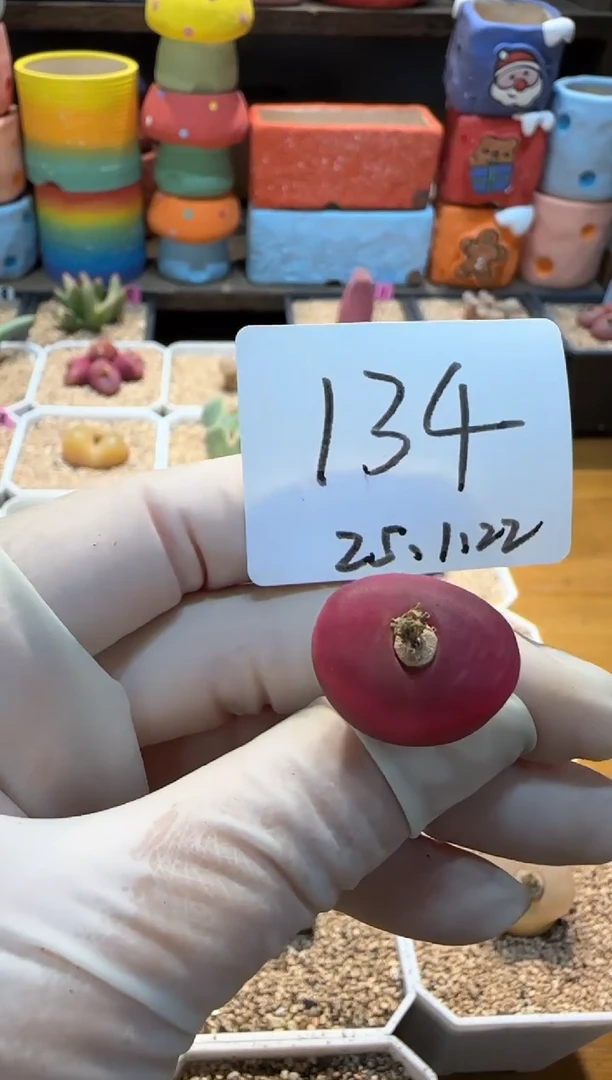 【闪购商品】25.1.22-134