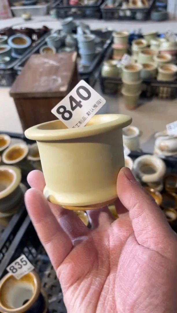 瓷片840小芳直播编号