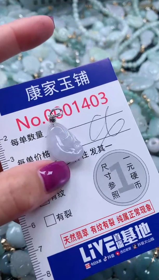 颈饰未镶嵌翡翠1403