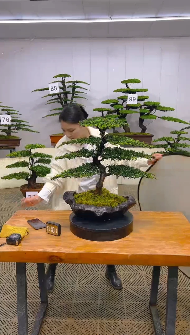 无花朵一物一拍一物一拍