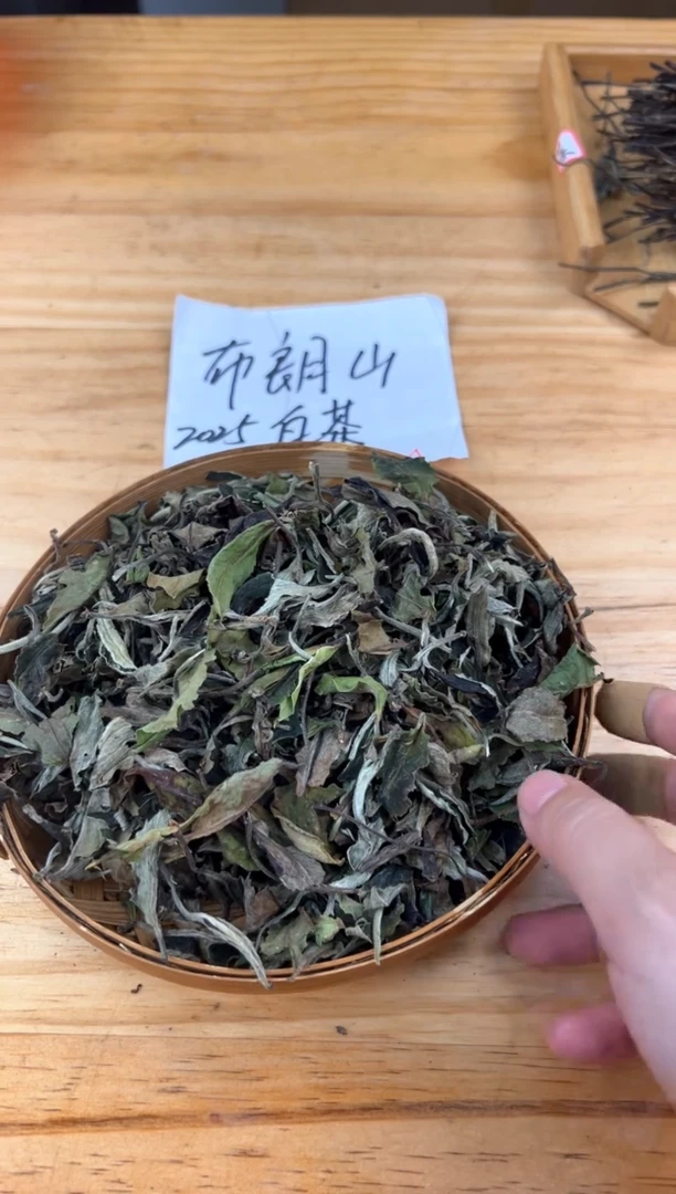 壶333号茶【白云推荐】布朗500克