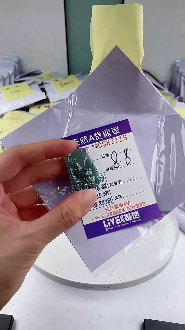 翡翠未镶嵌颈饰8.8