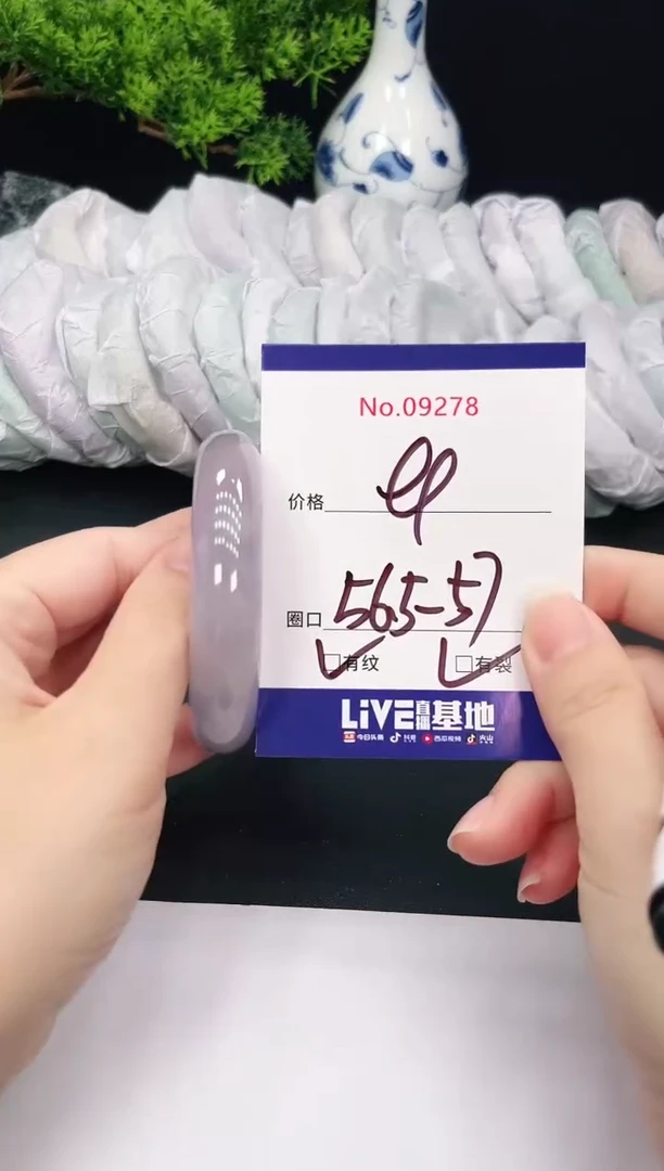 未镶嵌手镯翡翠9278