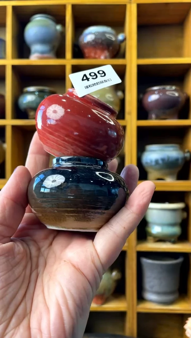 【闪购商品】陶499 内口3