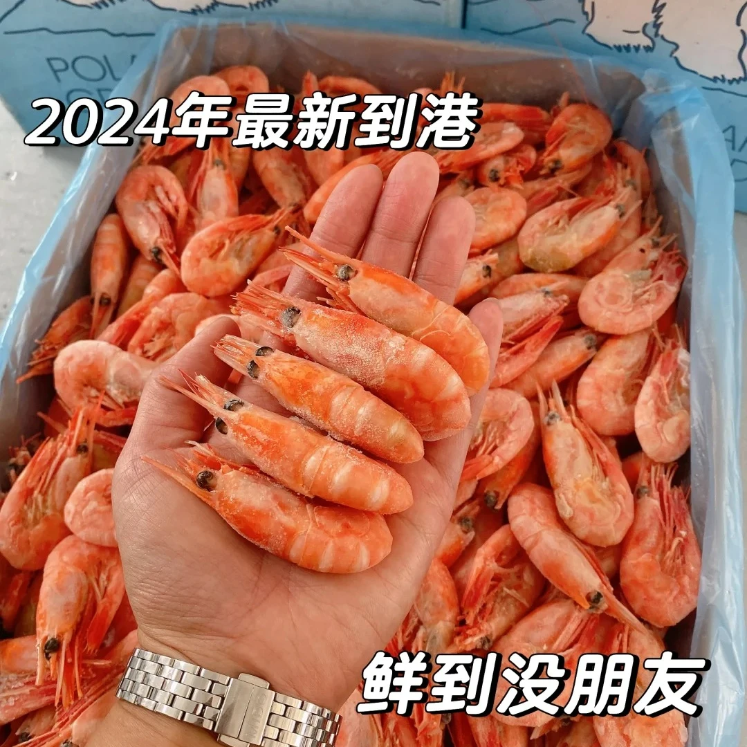 北极熊甜虾头籽50-70净重3斤，超大个，头籽率99%左右 丹麦
