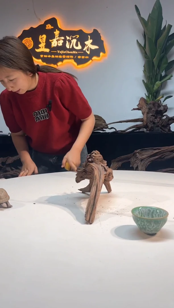 【闪购商品】柚木木雕一物一拍9