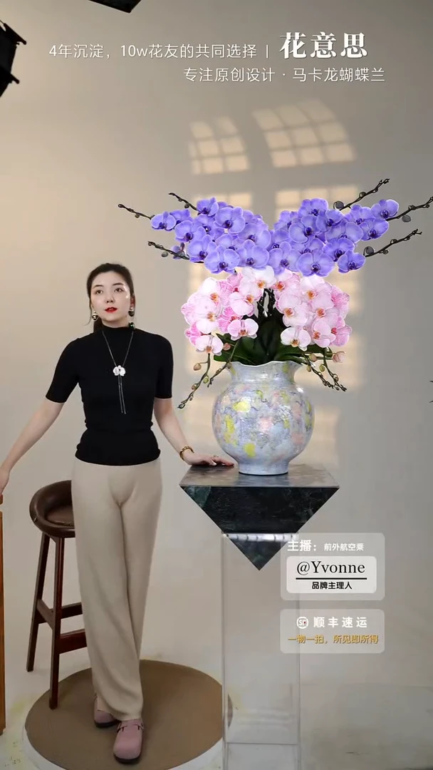 全部花朵020蝴蝶/一物一拍蝴蝶兰艺术盆景