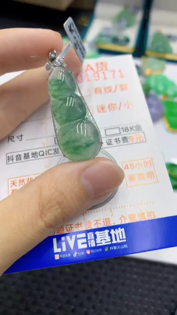 翡翠18K金镶嵌颈饰            8