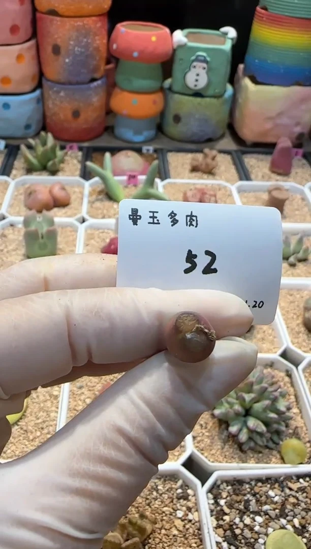 【闪购商品】25.1.20-52