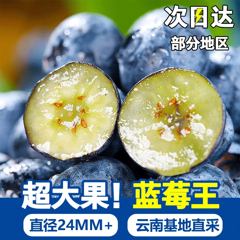 【少量·24+果王】TY蓝莓鲜果云南高山花香品种花青素水果100g/盒