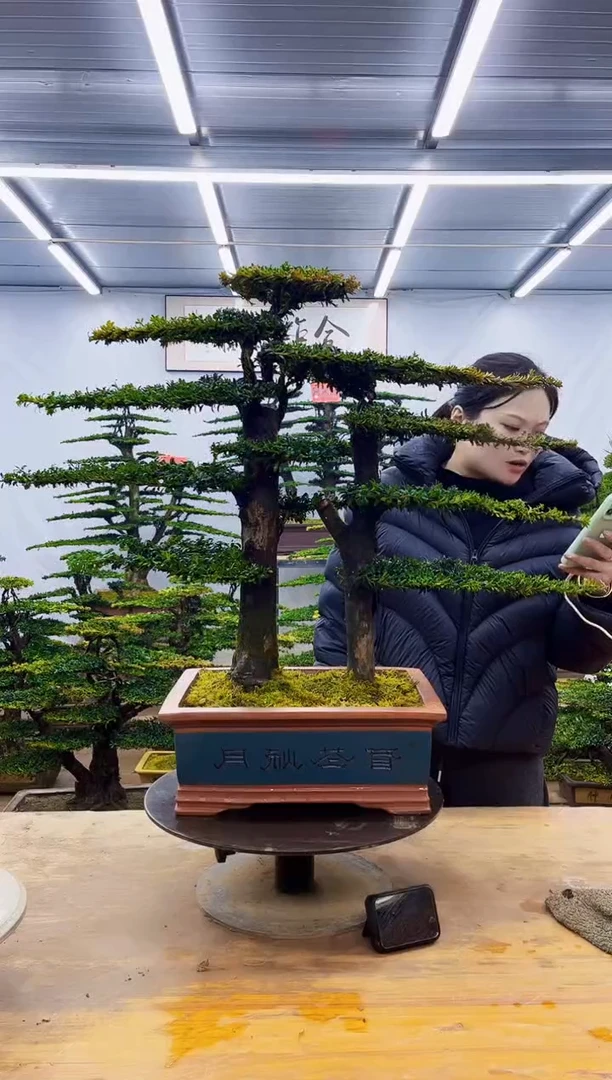 无花朵一物一拍·所见即所得