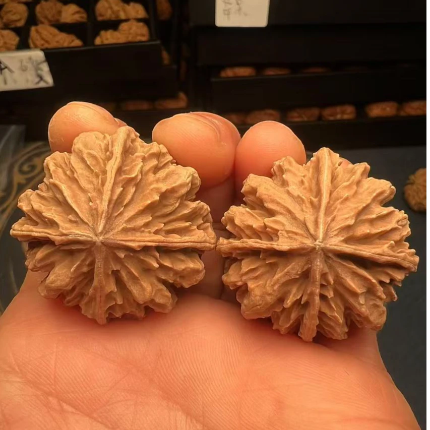 【四棱】秦岭野生文玩核桃配对，以实物为准