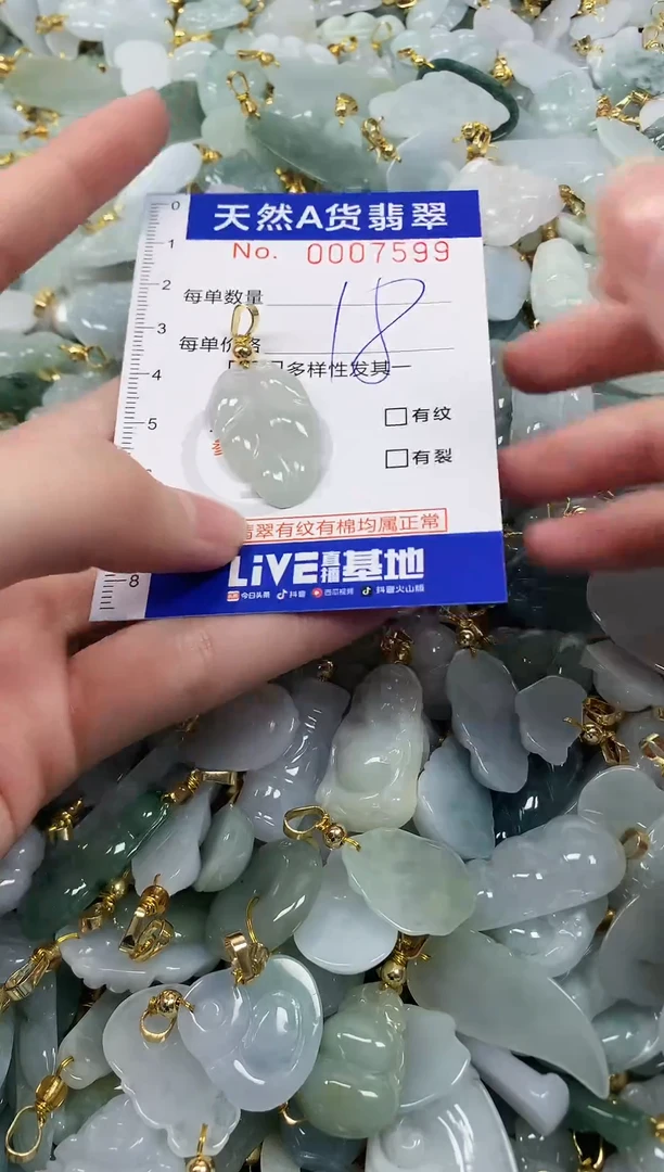 颈饰未镶嵌翡翠天然a货翡翠