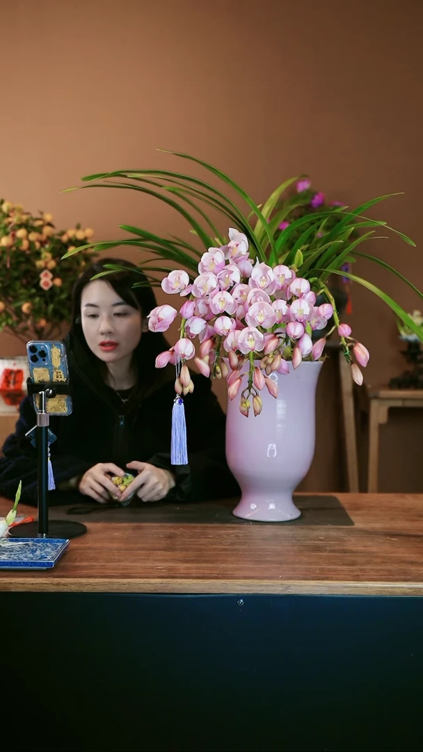 【闪购商品】盆景少女心