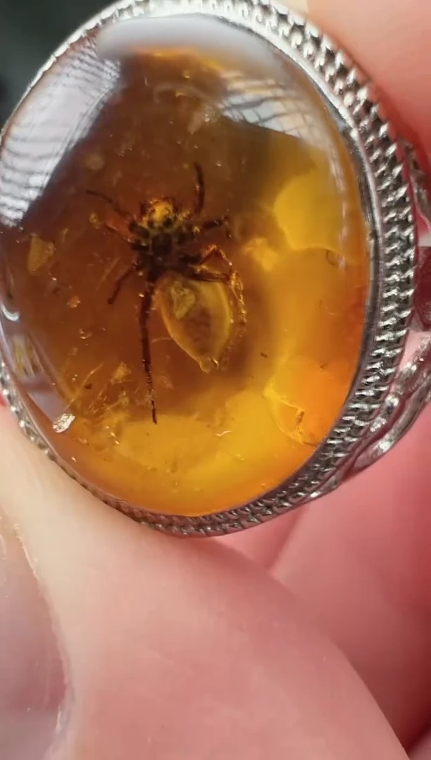 未镶嵌琥珀戒指戒指
