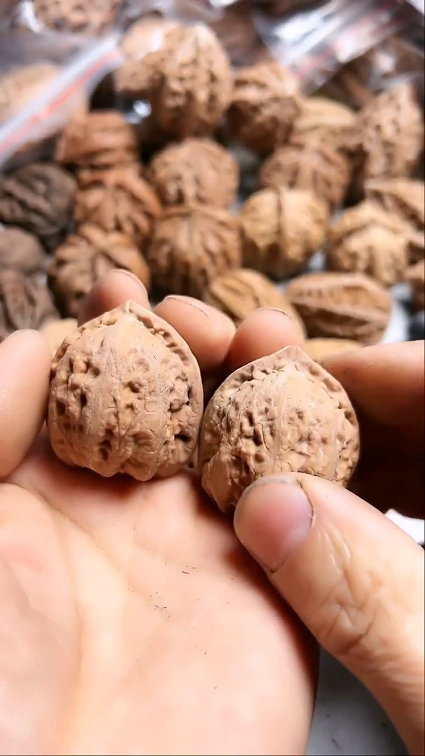 核桃东北野生大秋子4