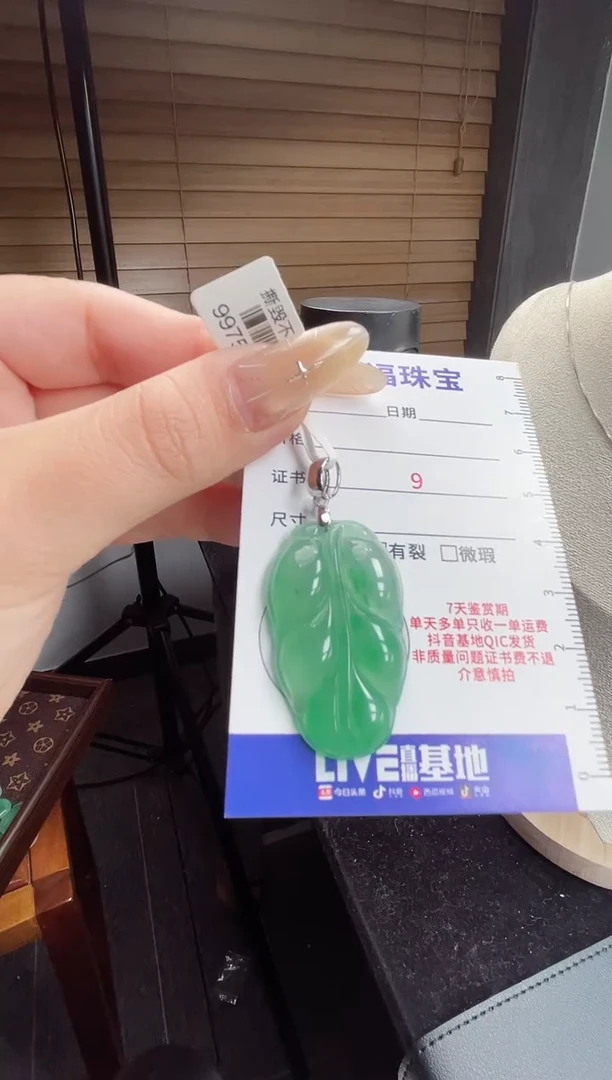 吊坠(赠链)银S925镶嵌石英质玉（非洲翠）3.600叶子
