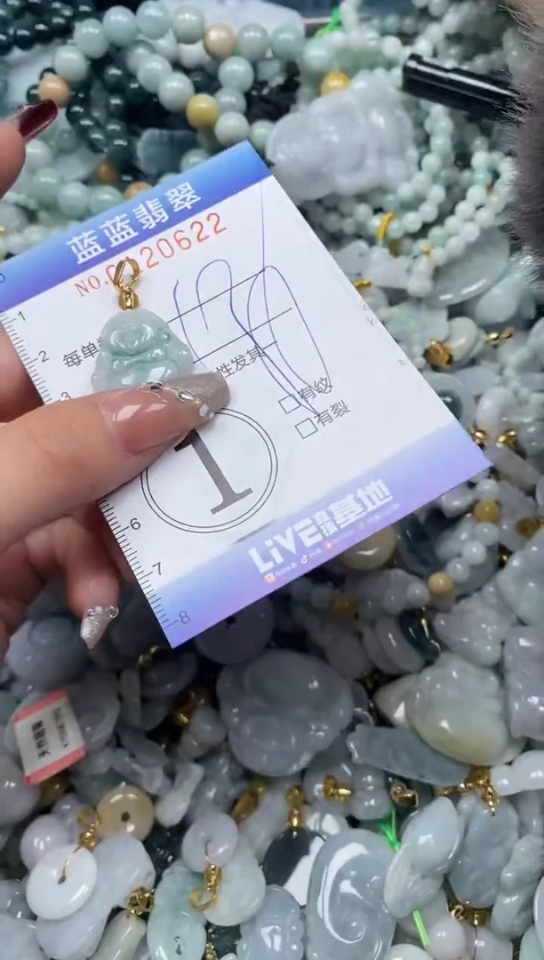 【闪购商品】翡翠颈饰未镶嵌闪购0120622