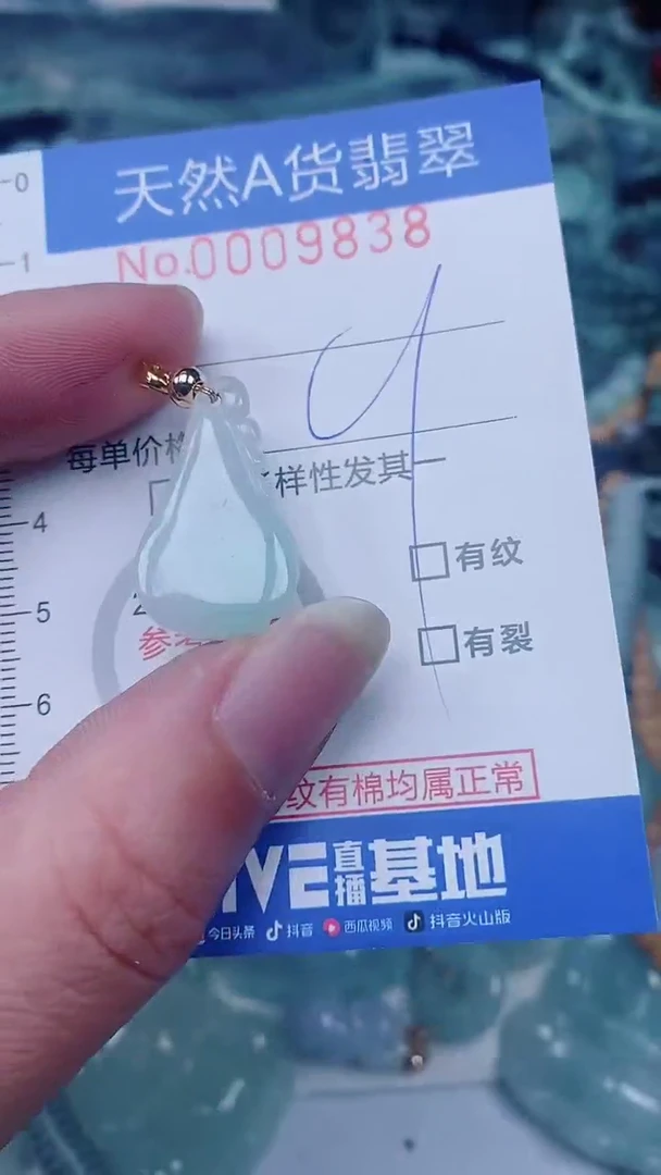 翡翠未镶嵌颈饰00009838