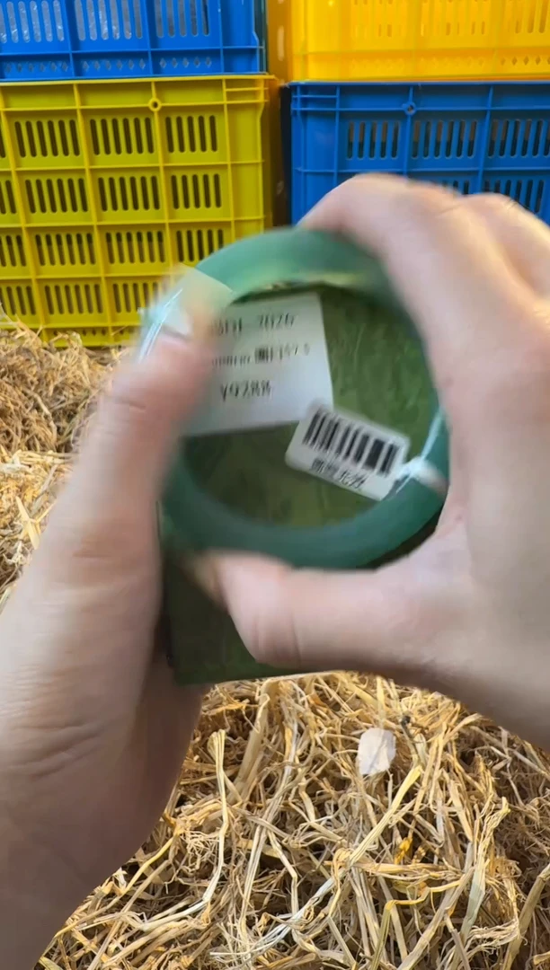 未镶嵌手镯石英质玉2026