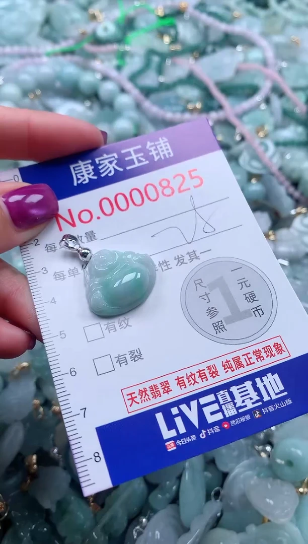 颈饰未镶嵌翡翠825