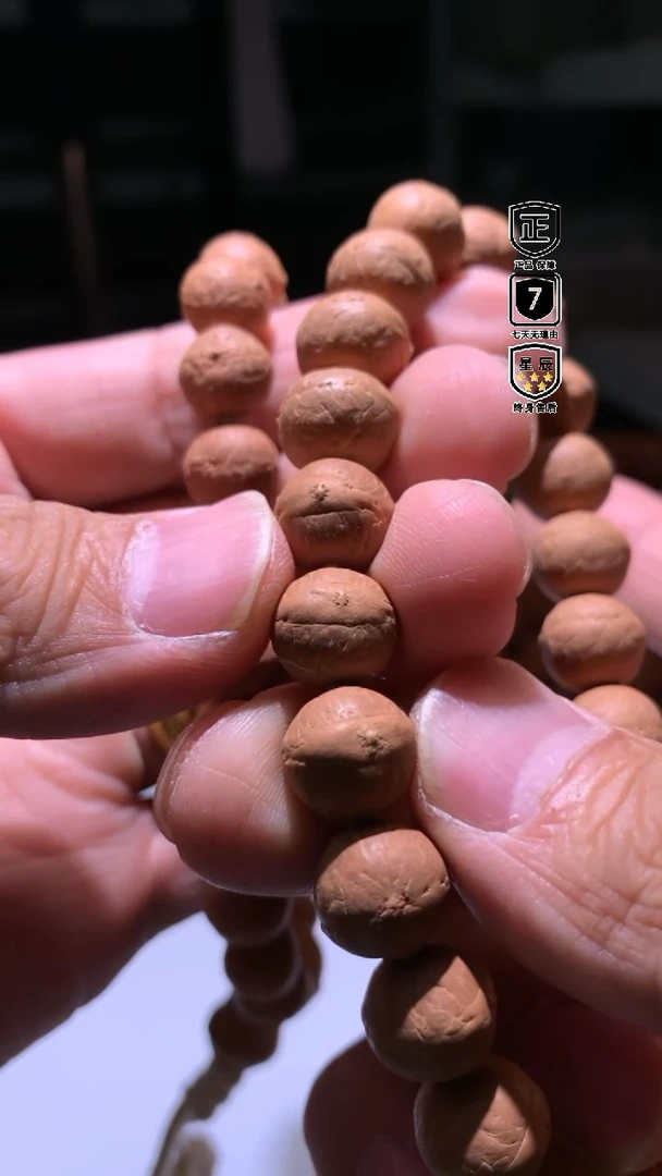 金刚菩提手串010