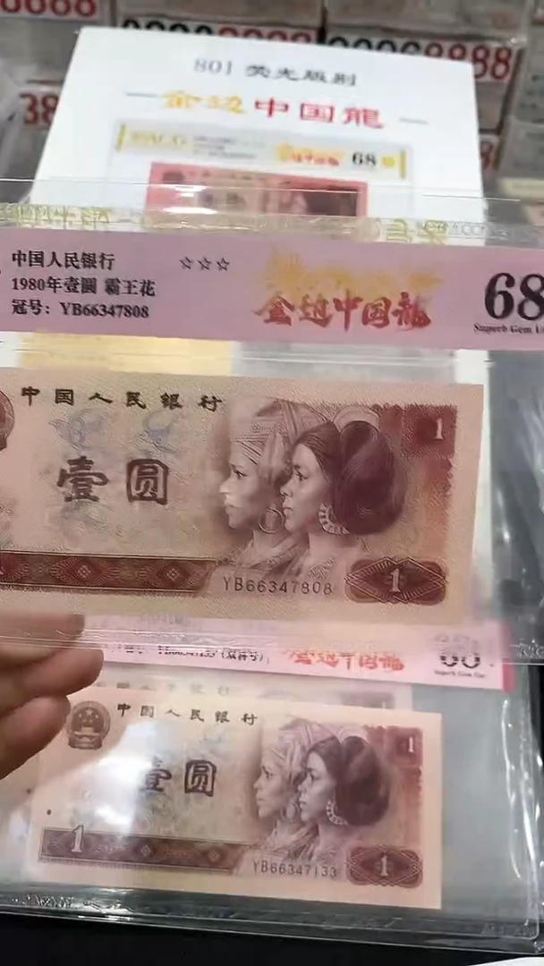 【闪购商品】金边中国龙801YB66347808