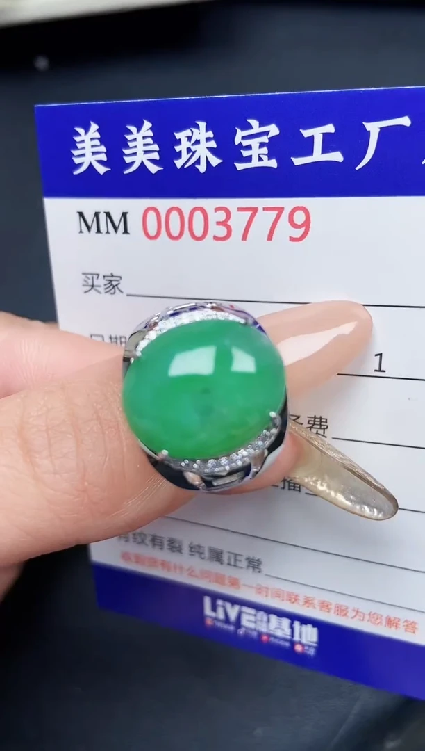 【闪购商品】翡翠颈饰银S925镶嵌3779