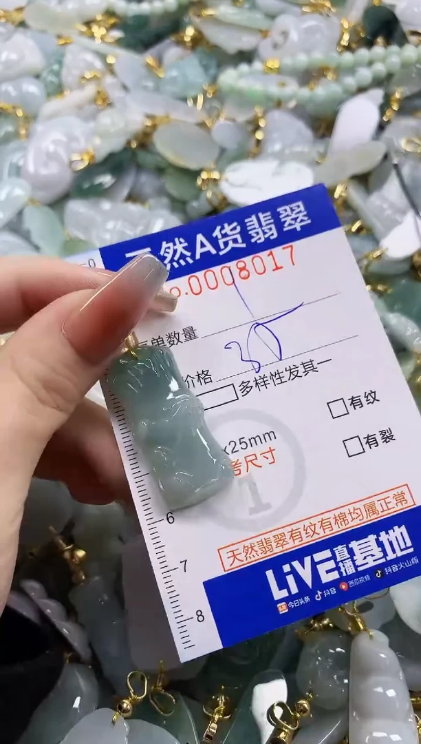 颈饰未镶嵌翡翠天然A货翡翠