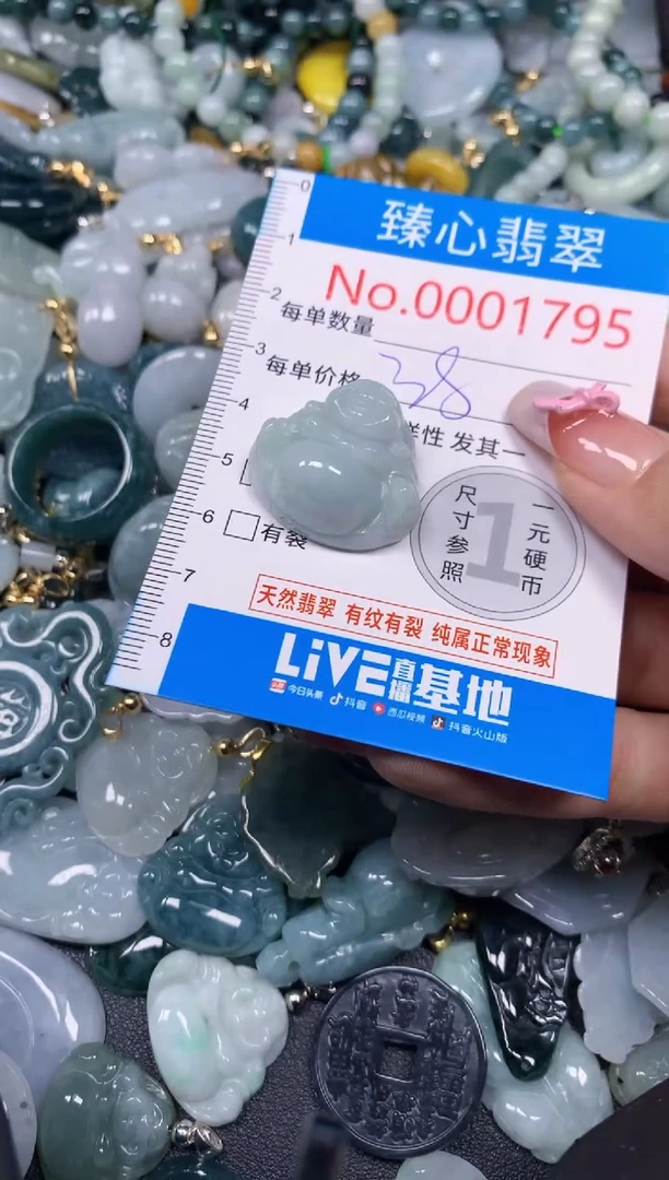 【闪购商品】翡翠颈饰未镶嵌含绳0001795