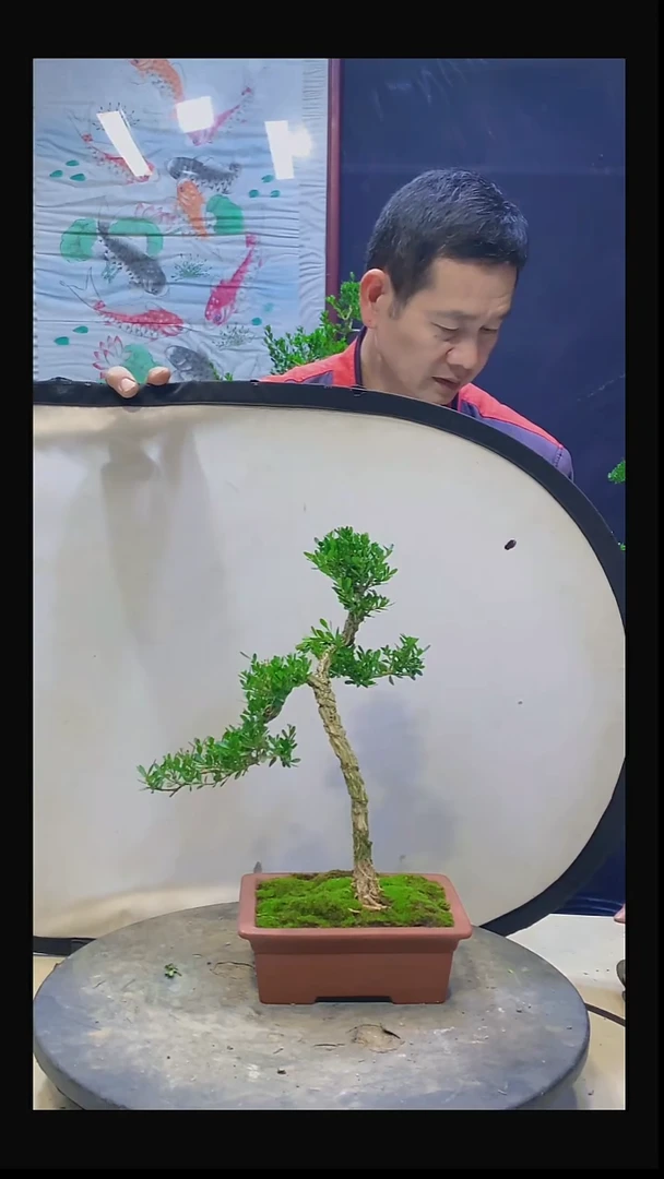 无花朵达11111111111