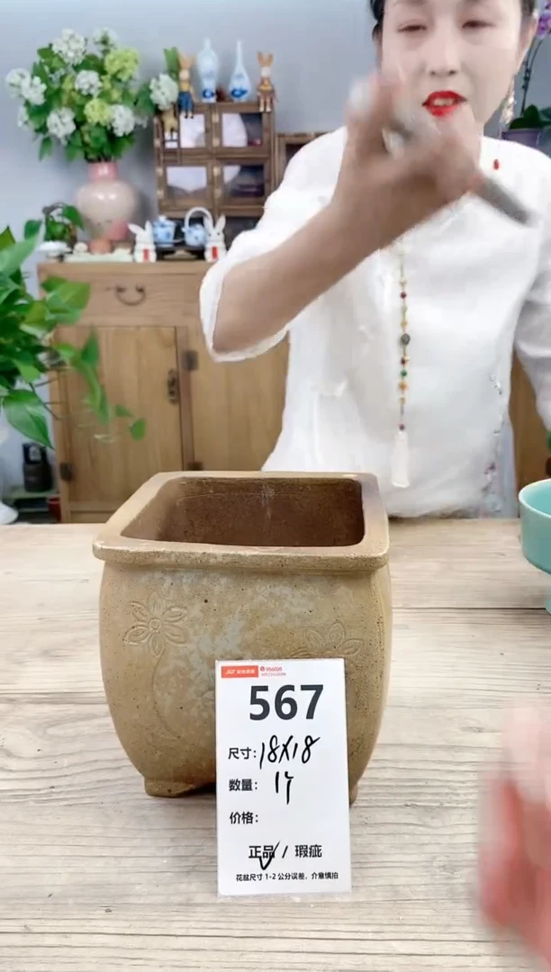 小玩子花盆直播号567