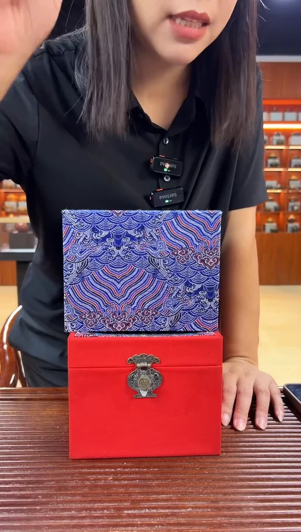 茶壶紫砂龙腾金钟黑朱泥