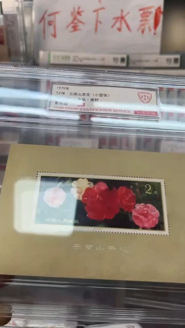 T37M 云南山茶花 小型张 信泰评级90OS